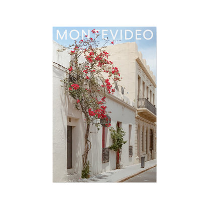 CARTA DE MONTEVIDÉU